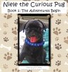 Niele the Curious Pug - Bild 1