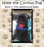 Niele the Curious Pug Niele the Curious Pug