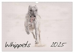 Whippets 2025 (Wall Calendar 2025 DIN A3 landscape), CALVENDO 12 Month Wall Calendar