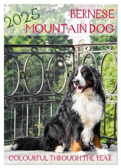 Bernese Mountain Dog - colourful through the year (Wall Calendar 2025 DIN A3 portrait), CALVENDO 12 Month Wall Calendar