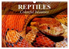 Reptiles Colorful beauties (Wall Calendar 2025 DIN A3 landscape), CALVENDO 12 Month Wall Calendar - Stanzer, Elisabeth