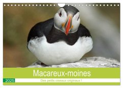 Macareux-moines Des petits oiseaux originaux! (Calendrier mural 2025 DIN A4 vertical), CALVENDO calendrier mensuel