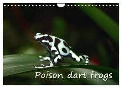 Poison dart frogs / UK-Version / Birthday Calendar (Wall Calendar 2025 DIN A4 landscape), CALVENDO 12 Month Wall Calendar