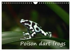 Poison dart frogs / UK-Version / Birthday Calendar (Wall Calendar 2025 DIN A4 landscape), CALVENDO 12 Month Wall Calendar - Chawera, Chawera