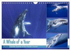 A Whale of a Year (Wall Calendar 2025 DIN A4 landscape), CALVENDO 12 Month Wall Calendar