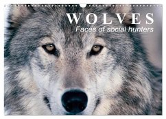 Wolves ¿ Faces of social hunters (Wall Calendar 2025 DIN A3 landscape), CALVENDO 12 Month Wall Calendar