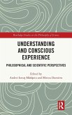 Understanding and Conscious Experience