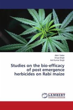 Cover Studies on the bio-efficacy of post emergence herbicides on Rabi maize