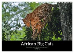 African Big Cats (Wall Calendar 2025 DIN A3 landscape), CALVENDO 12 Month Wall Calendar