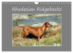 Rhodesian Ridgebacks (Wall Calendar 2025 DIN A4 landscape), CALVENDO 12 Month Wall Calendar - Wyk, Anke van