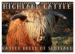 Highland Cattle - Native Breed of Scotland (Wall Calendar 2025 DIN A4 landscape), CALVENDO 12 Month Wall Calendar - Cross, Martina