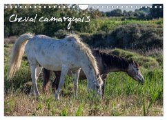 Cheval camarguais (Calendrier mural 2025 DIN A4 vertical), CALVENDO calendrier mensuel