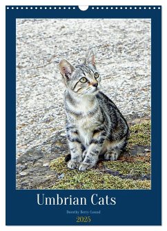 Umbrian Cats (Wall Calendar 2025 DIN A3 portrait), CALVENDO 12 Month Wall Calendar