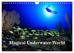 Magical Underwater World (Wall Calendar 2025 DIN A4 landscape), CALVENDO 12 Month Wall Calendar - Hablützel, Martin