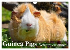Guinea Pigs Delicate creatures (Wall Calendar 2025 DIN A4 landscape), CALVENDO 12 Month Wall Calendar