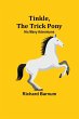 Tinkle, The Trick Pony - Bild 1