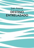 Destino Entrelazado (eBook, ePUB)