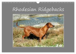 Rhodesian Ridgebacks (Wall Calendar 2025 DIN A3 landscape), CALVENDO 12 Month Wall Calendar - Wyk, Anke van