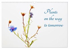Plants on the way to tomorrow (Wall Calendar 2025 DIN A3 landscape), CALVENDO 12 Month Wall Calendar