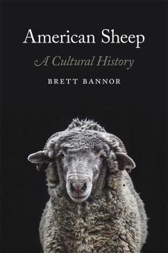 Cover American Sheep