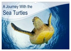 A Journey With the Sea Turtles (Wall Calendar 2025 DIN A3 landscape), CALVENDO 12 Month Wall Calendar