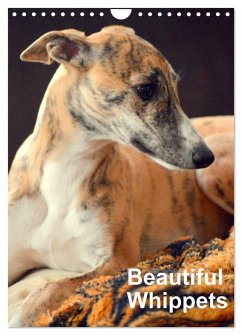 Beautiful Whippets (Wall Calendar 2025 DIN A4 portrait), CALVENDO 12 Month Wall Calendar