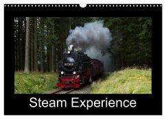 Steam Experience (Wall Calendar 2025 DIN A3 landscape), CALVENDO 12 Month Wall Calendar