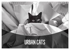 Urban Cats (Wall Calendar 2025 DIN A4 landscape), CALVENDO 12 Month Wall Calendar