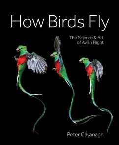 Cover How Birds Fly