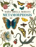 Maria Sibylla Merian's Metamorphosis