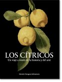 Los Cítricos: Un viaje a través de la historia y del arte.