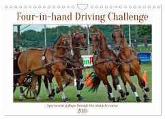 Four-in-hand Driving Challenge (Wall Calendar 2025 DIN A4 landscape), CALVENDO 12 Month Wall Calendar