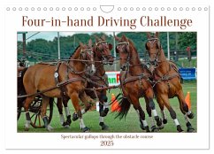 Four-in-hand Driving Challenge (Wall Calendar 2025 DIN A4 landscape), CALVENDO 12 Month Wall Calendar - Kleemann, Claudia