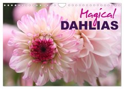 Magical Dahlias (Wall Calendar 2025 DIN A4 landscape), CALVENDO 12 Month Wall Calendar