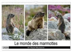 Le monde des marmottes en Haute Maurienne (Calendrier mural 2025 DIN A3 vertical), CALVENDO calendrier mensuel