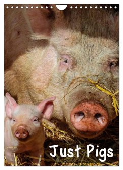 Just Pigs (Wall Calendar 2025 DIN A4 portrait), CALVENDO 12 Month Wall Calendar