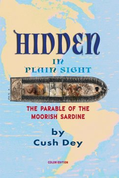 Hidden in Plain Sight - Dey, Cush