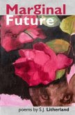 Marginal Future Marginal Future