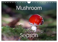 Mushroom Season (Wall Calendar 2025 DIN A4 landscape), CALVENDO 12 Month Wall Calendar