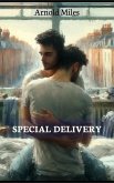 Special Delivery (eBook, ePUB)