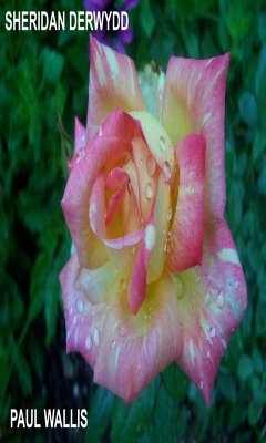 Cover Sheridan Derwydd (eBook, ePUB)