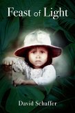 Feast of Light (eBook, ePUB)