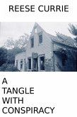 A Tangle With Conspiracy (eBook, ePUB)