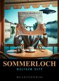 Sommerloch (eBook, ePUB)