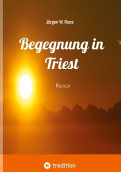 Cover Begegnung in Triest - Ein spannender Politthriller