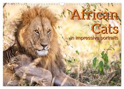 African Cats in impressive portraits (Wall Calendar 2025 DIN A3 landscape), CALVENDO 12 Month Wall Calendar