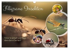 Filigrane Insekten (Wandkalender 2025 DIN A3 quer), CALVENDO Monatskalender