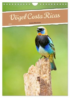 Vögel Costa Ricas (Wandkalender 2025 DIN A4 hoch), CALVENDO Monatskalender