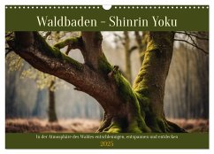 Waldbaden - Shinrin Yoku (Wandkalender 2025 DIN A3 quer), CALVENDO Monatskalender