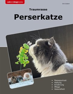 Traumrasse Perserkatze - Gisbert, Dirk